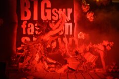 Photos by Michael Troutman (254/365)